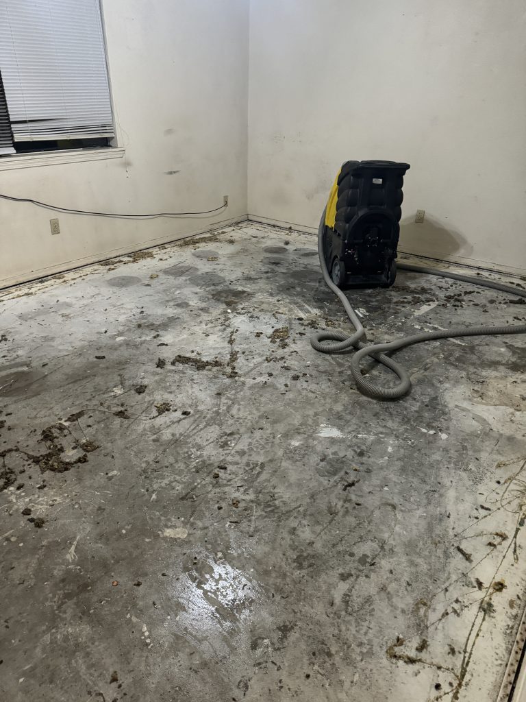 Water damage after a long running leak